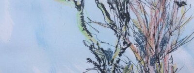 Drawing 33 Drawing 33