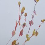 paintings 2