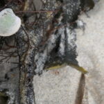 Photography 89