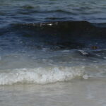 Photography 76