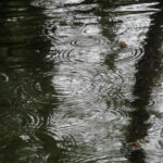 Photography 43