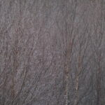 Photography 78