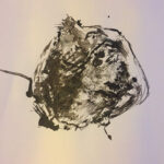 drawings 22