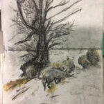 drawings 28
