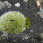 photography 12