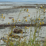 photography 14