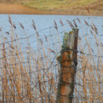 photography 21