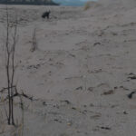 photography 22