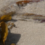 photography 27